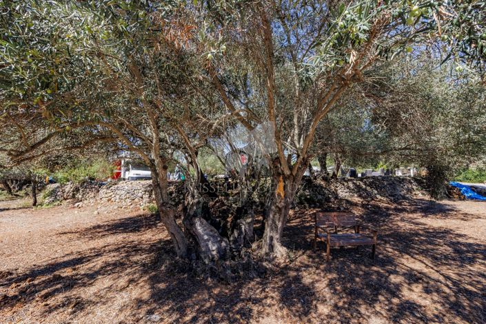 Image No.22-Ferme de 3 chambres à vendre à Santa Bárbara de Nexe