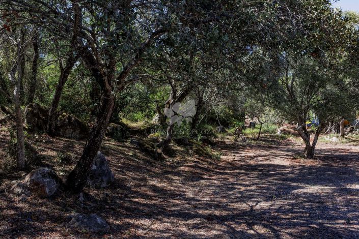 Image No.23-3 Bed Farmhouse for sale