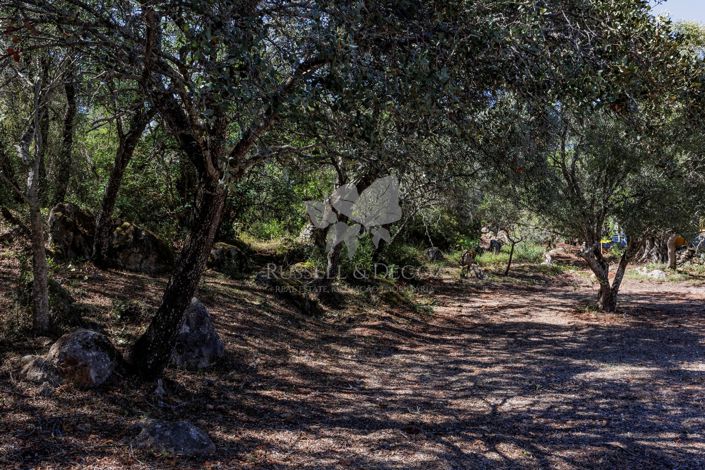Image No.23-Ferme de 3 chambres à vendre à Santa Bárbara de Nexe