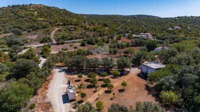 1846-3017-22d7cc4f9b9a2288cc68ad0c58d0b222388