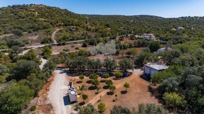 1846-3017-08ec64ef655934b6b0fd3d86b1839173e56