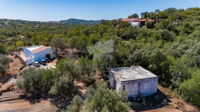 1846-3017-08ec64ef655934b6b0fd3d86b1839173e56