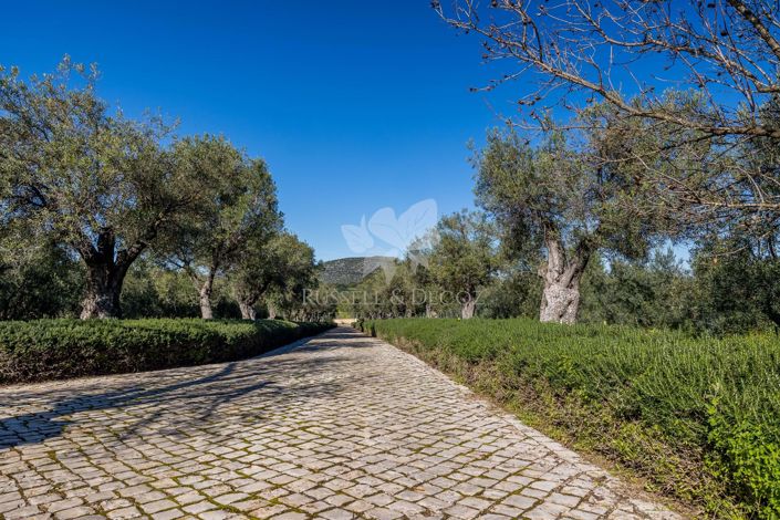 Image No.22-Villa de 3 chambres à vendre à Moncarapacho