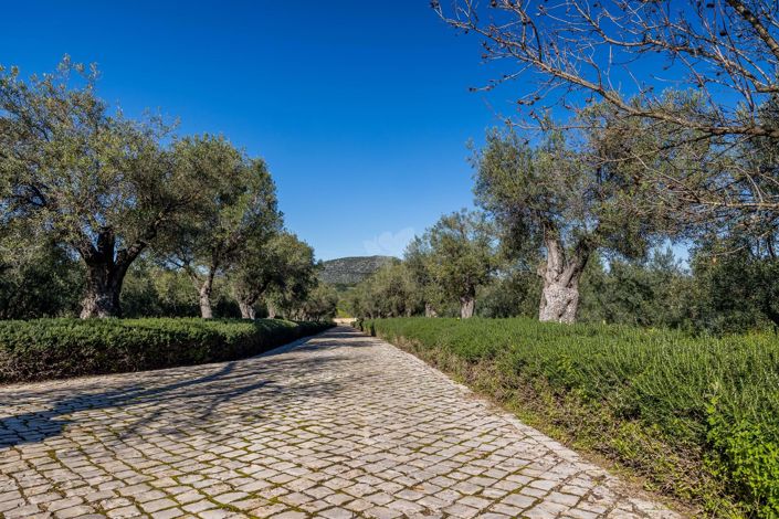 Image No.22-3 Bed Villa for sale