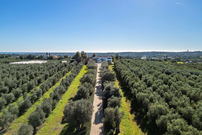 Image No.37-3 Bed Villa for sale