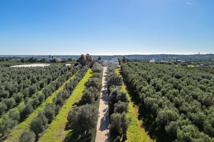 Image No.37-3 Bed Villa for sale