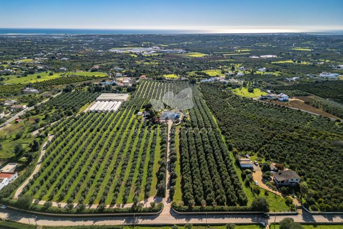 Image No.38-Villa de 3 chambres à vendre à Moncarapacho