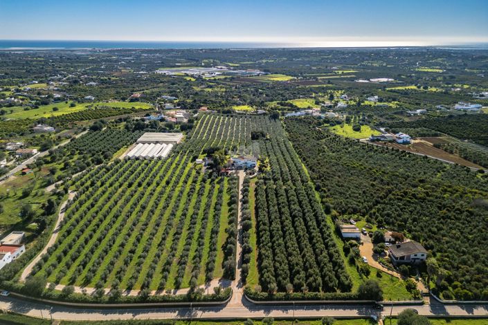 Image No.38-3 Bed Villa for sale