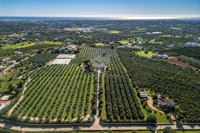 Image No.38-3 Bed Villa for sale