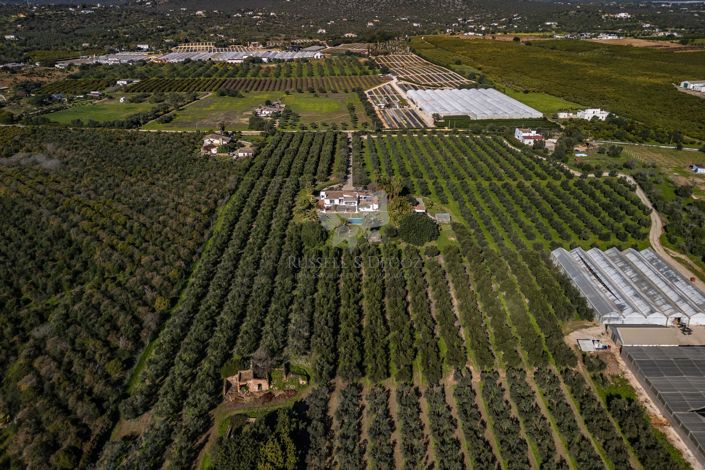 Image No.39-3 Bed Villa for sale