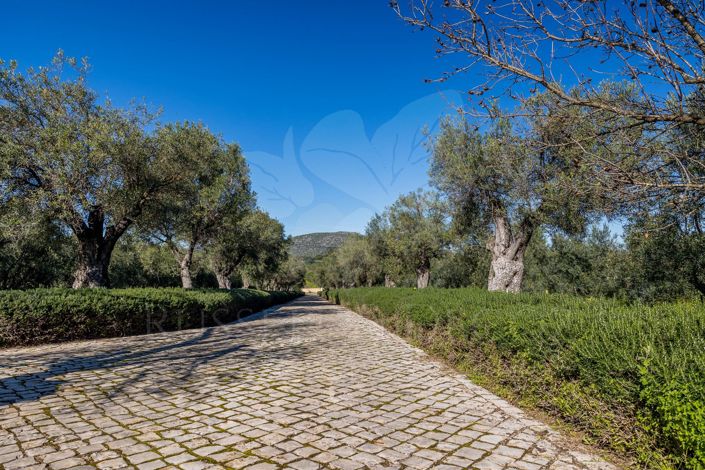 Image No.39-3 Bed Villa for sale