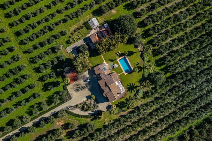 Image No.4-3 Bed Villa for sale