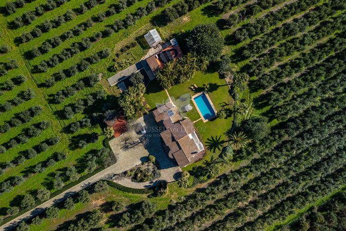 Image No.4-3 Bed Villa for sale