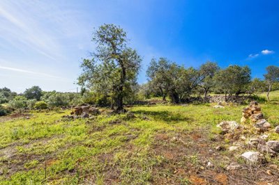 1846-3073-22d7cc4f9b9a2288cc68ad0c58d0b222388