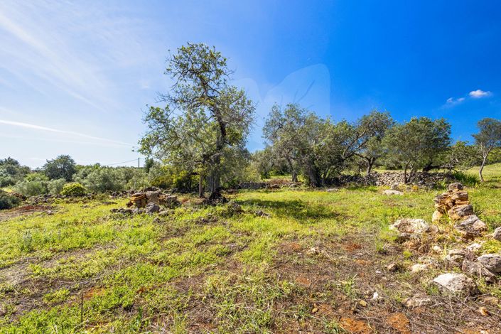 Image No.9-Property for sale