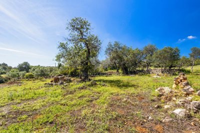 1846-3073-08ec64ef655934b6b0fd3d86b1839173e56