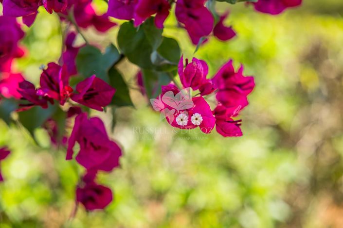 Image No.21-3 Bed Villa for sale