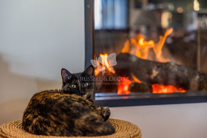 Image No.9-Villa de 4 chambres à vendre à Faro City