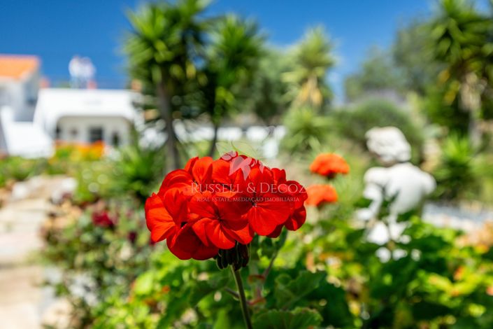 Image No.17-Ferme de 3 chambres à vendre à Moncarapacho