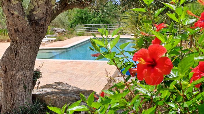 Image No.30-3 Bed Villa for sale