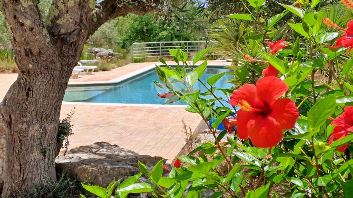 Image No.30-Villa de 3 chambres à vendre à Tavira