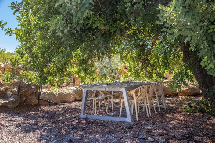 Image No.23-Ferme de 3 chambres à vendre à Tavira