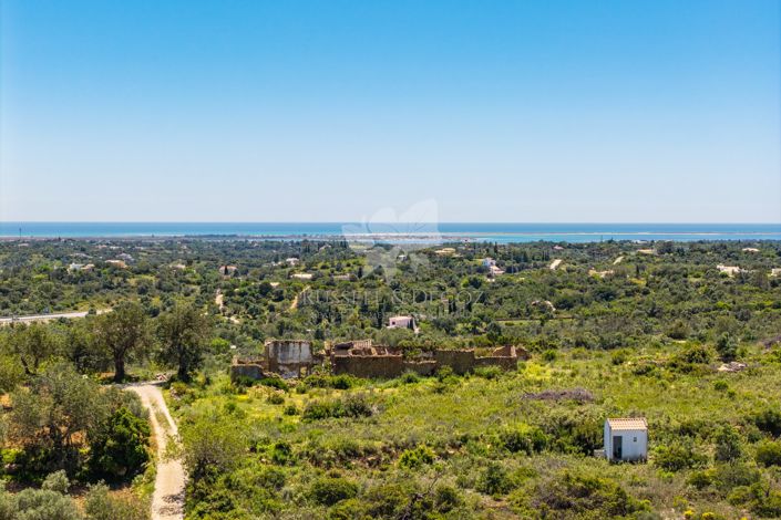 Image No.2-Property for sale