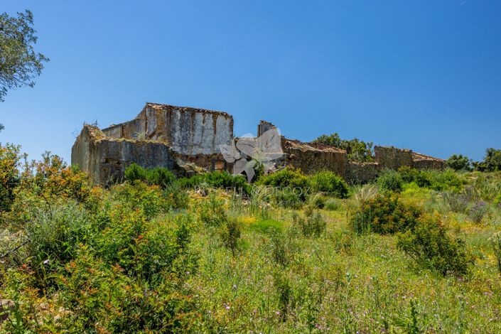 Image No.4-Property for sale