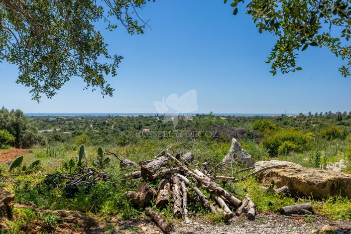 Image No.5-Property for sale