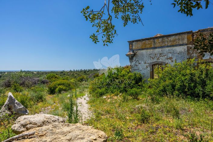 Image No.6-Property for sale