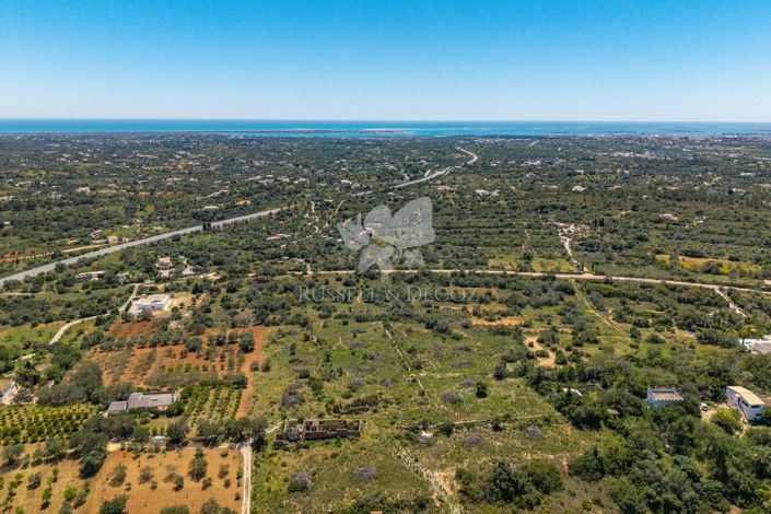 Image No.9-Property for sale