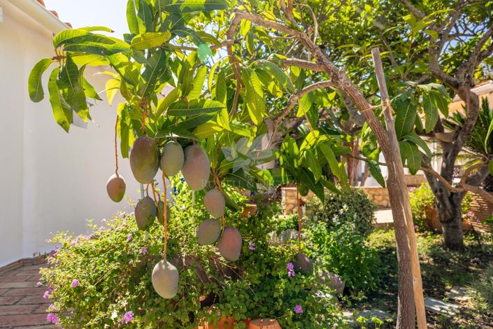 Image No.10-4 Bed Farmhouse for sale