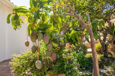 1846-3206-08ec64ef655934b6b0fd3d86b1839173e56