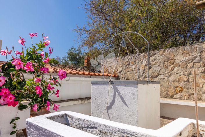 Image No.12-4 Bed Farmhouse for sale