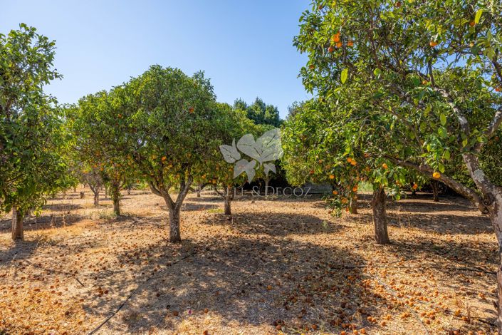 Image No.34-4 Bed Farmhouse for sale