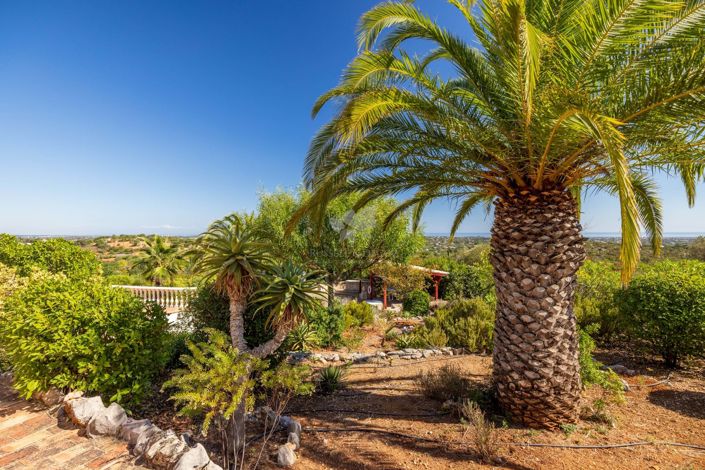 Image No.25-3 Bed Villa for sale