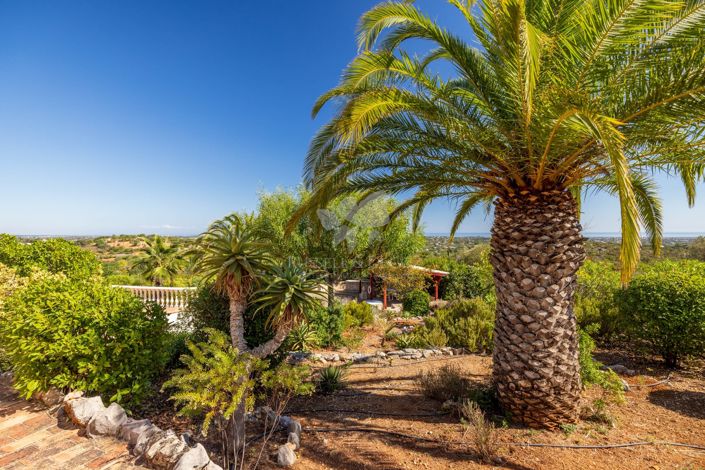 Image No.25-3 Bed Villa for sale