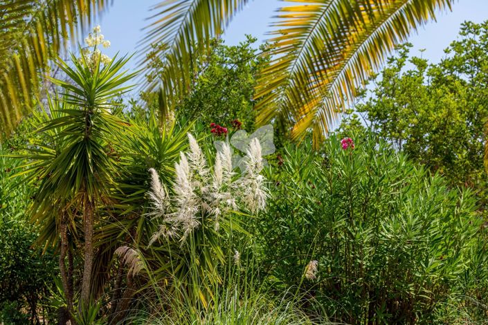 Image No.35-Villa de 3 chambres à vendre à Tavira
