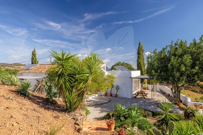 Image No.32-3 Bed Farmhouse for sale