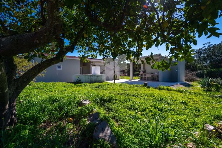 Image No.37-3 Bed Farmhouse for sale