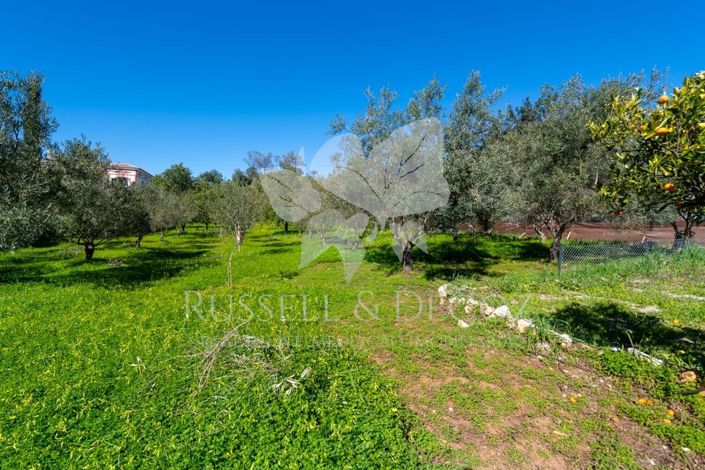 Image No.38-Ferme de 3 chambres à vendre à Tavira