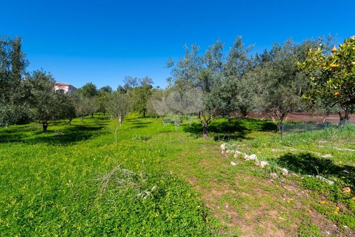 Image No.38-3 Bed Farmhouse for sale