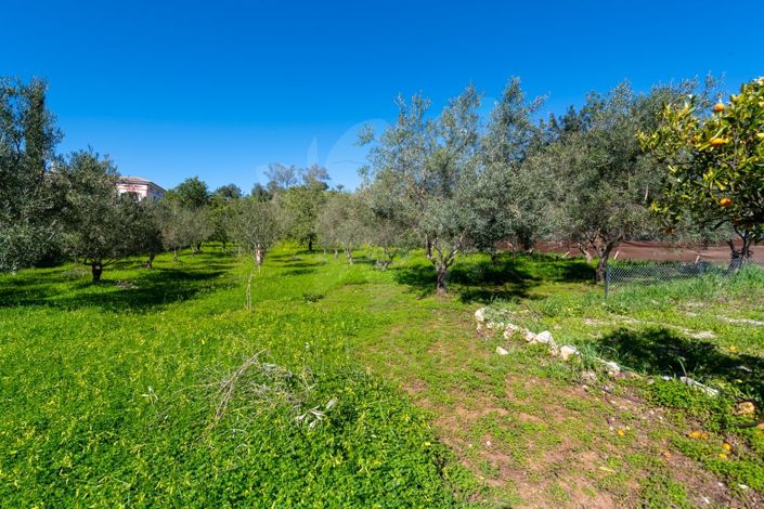 Image No.38-3 Bed Farmhouse for sale