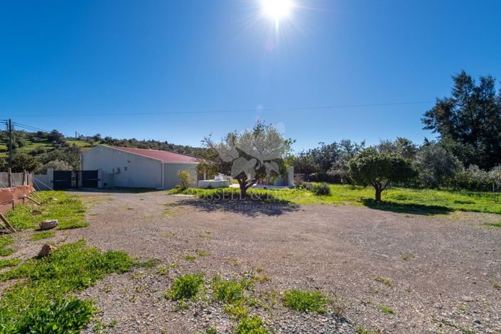 Image No.39-3 Bed Farmhouse for sale