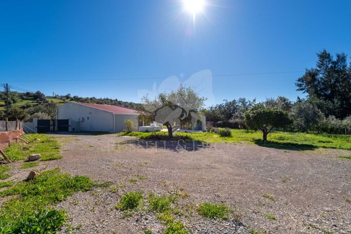 Image No.39-3 Bed Farmhouse for sale