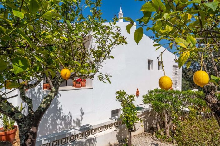 Image No.30-3 Bed Villa for sale