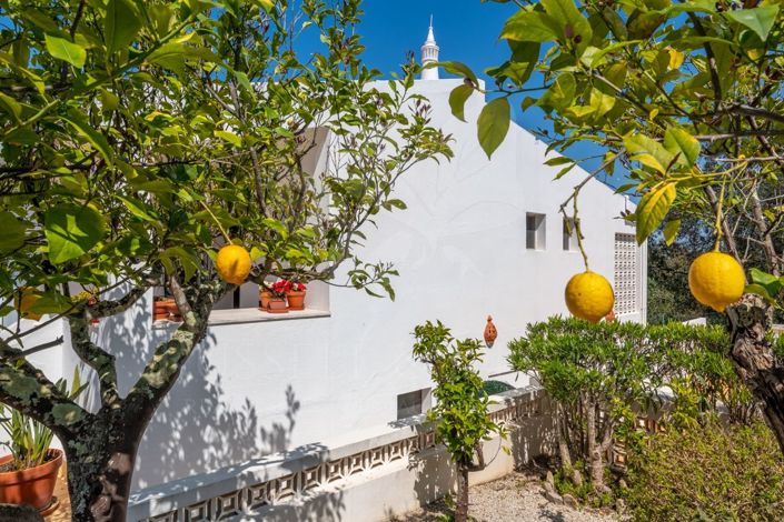 Image No.31-3 Bed Villa for sale