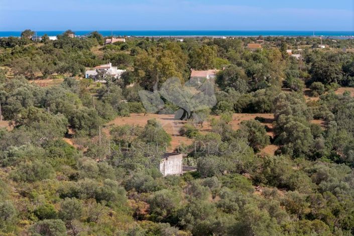 Image No.14-Property for sale