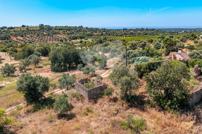 Image No.24-Property for sale
