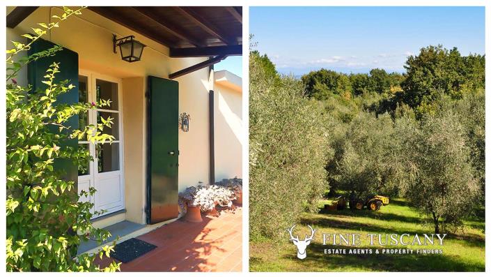 Image No.26-Maison de campagne de 6 chambres à vendre à Crespina